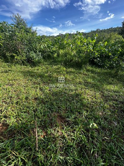 Fazenda, 116 hectares - Foto 4