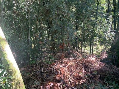 Terreno, 834 m² - Foto 5