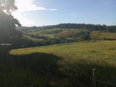 Terreno, 5000 m² - Foto 5