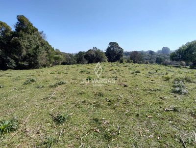 Sítio, 4 quartos - Foto 2