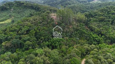 Sítio, 1 quarto, 8 hectares - Foto 3