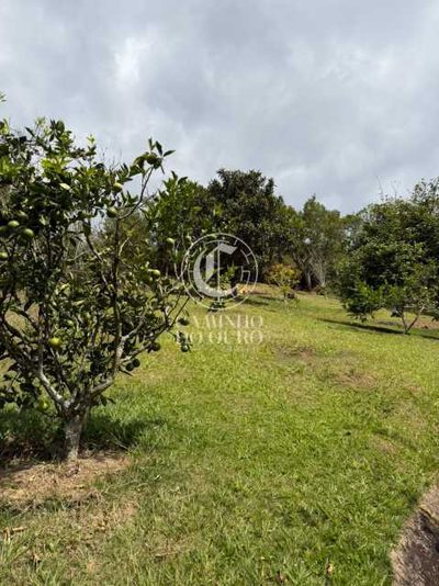 Casa, 3 quartos, 250 m² - Foto 3
