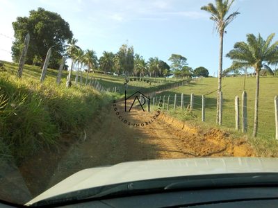 Fazenda, 17 hectares - Foto 2