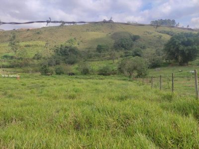 Terreno, 8000 m² - Foto 1