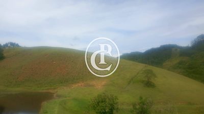Sítio, 3 quartos, 34 hectares - Foto 4