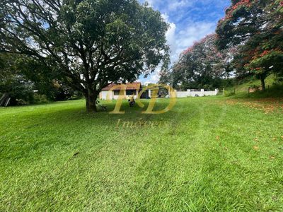 Sítio, 3 quartos, 33 hectares - Foto 2