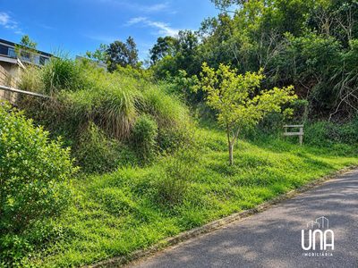 Terreno, 284 m² - Foto 3
