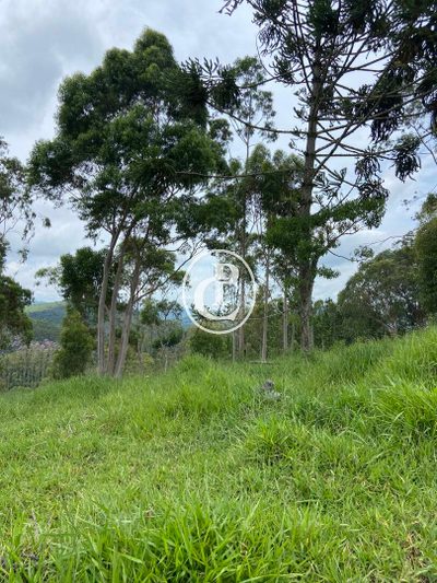 Terreno, 2 hectares - Foto 1