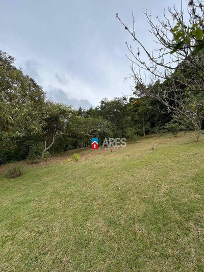 Chácara, 5 quartos, 3 hectares - Foto 3