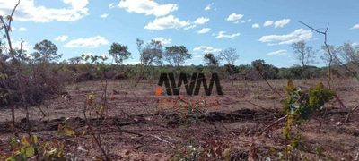 Fazenda, 11664 hectares - Foto 4