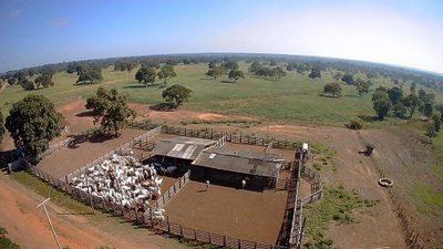 Fazenda, 4180 hectares - Foto 3