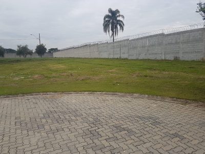Terreno, 526 m² - Foto 3