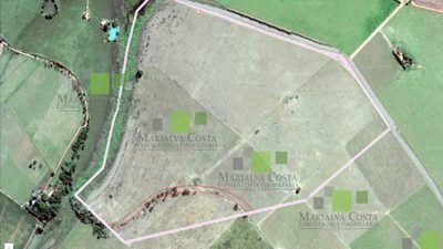 Terreno, 53 hectares - Foto 2