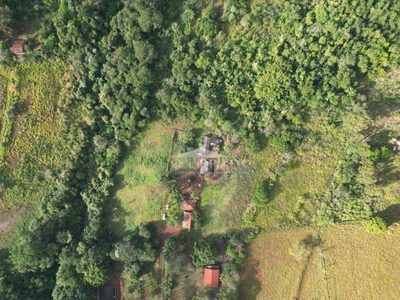 Sítio, 5 quartos, 3 hectares - Foto 4