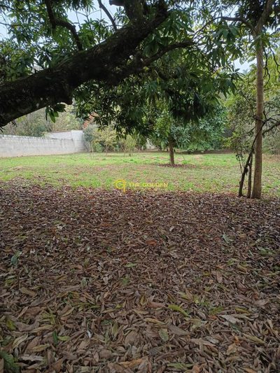 Terreno, 2000 m² - Foto 2