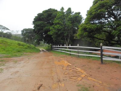 Chácara, 4 quartos - Foto 1