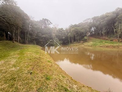 Chácara, 5 quartos, 3 hectares - Foto 2