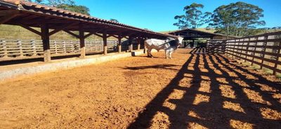 Fazenda, 25 hectares - Foto 4
