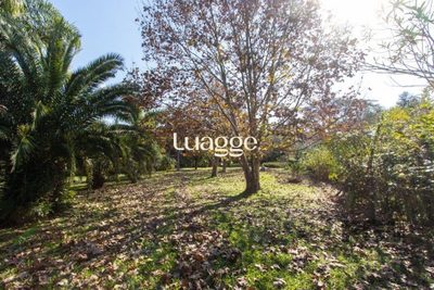 Sítio, 3061 m² - Foto 5