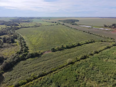 Terreno, 24 hectares - Foto 3