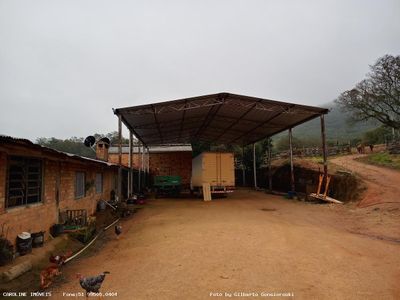 Fazenda, 59 hectares - Foto 4