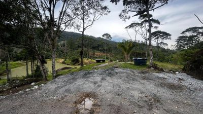 Terreno, 10000 m² - Foto 4