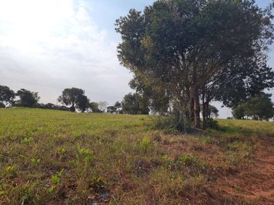 Terreno, 469 m² - Foto 4