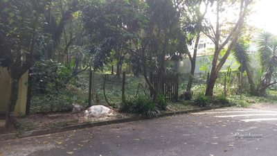 Terreno, 1000 m² - Foto 2