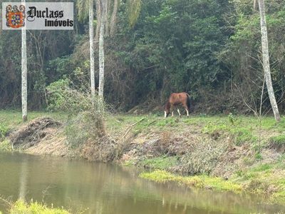 Fazenda, 24 hectares - Foto 3