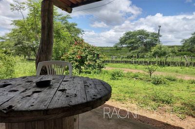 Fazenda, 8 quartos - Foto 5