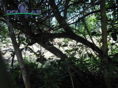 Terreno, 800 m² - Foto 4