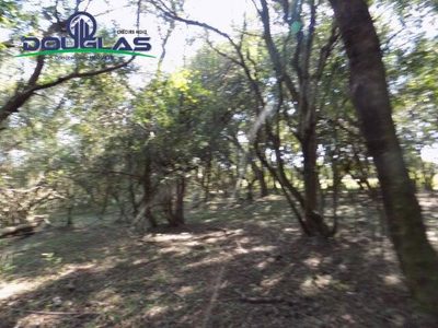 Terreno, 2 hectares - Foto 3