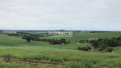 Sítio, 1 quarto, 6 hectares - Foto 1