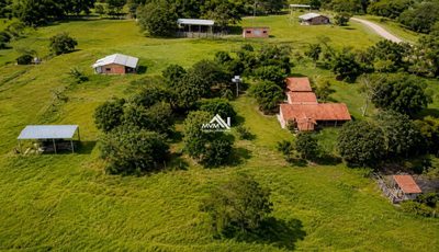 Chácara, 180 hectares - Foto 2