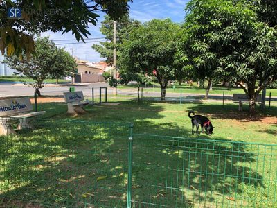 Terreno, 250 m² - Foto 5