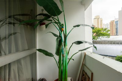 Apartamento, 3 quartos - Foto 3