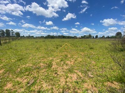 Sítio, 2 hectares - Foto 4