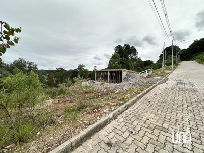 Terreno, 253 m² - Foto 4