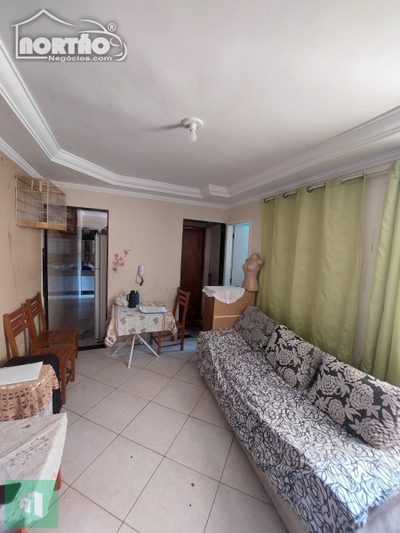Casa, 4 quartos, 50 m² - Foto 3