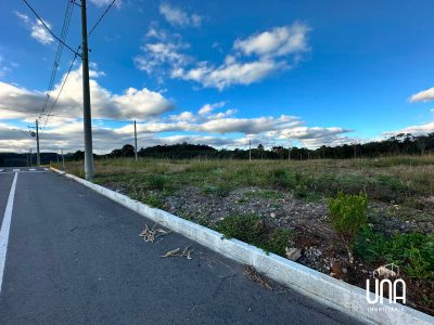 Terreno, 363 m² - Foto 3