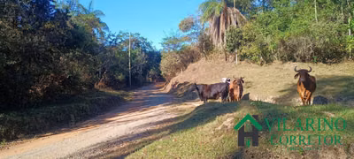 Terreno, 3 hectares - Foto 1