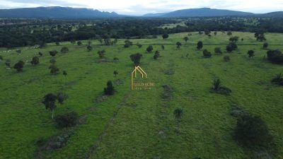 Fazenda, 113 hectares - Foto 4
