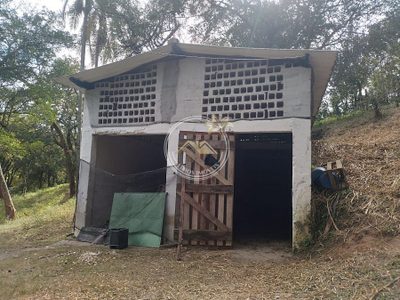 Terreno, 2 hectares - Foto 4