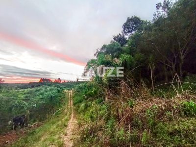 Chácara, 1 quarto, 2 hectares - Foto 1