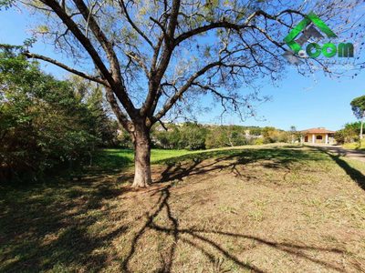 Terreno, 3 hectares - Foto 3