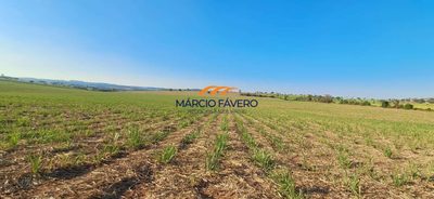 Fazenda, 501 hectares - Foto 3