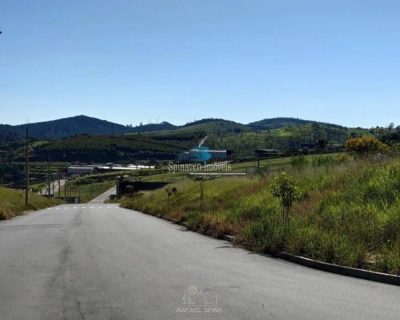 Terreno - Foto 3