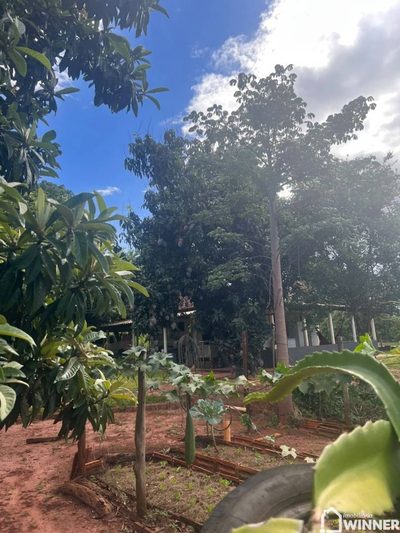 Chácara, 4 quartos, 5000 m² - Foto 2