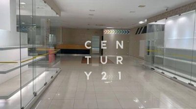 Loja-Salão, 590 m² - Foto 3