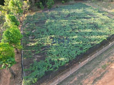 Terreno, 2 hectares - Foto 3